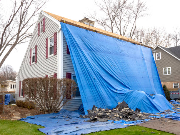 Best Property Management Cleanouts  in North Patchogue, NY